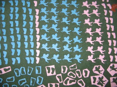 ingerasi talpite.JPG